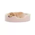 Top Paw® Orthopedic Cuddler Striped Dog Bed image thumbnail 1