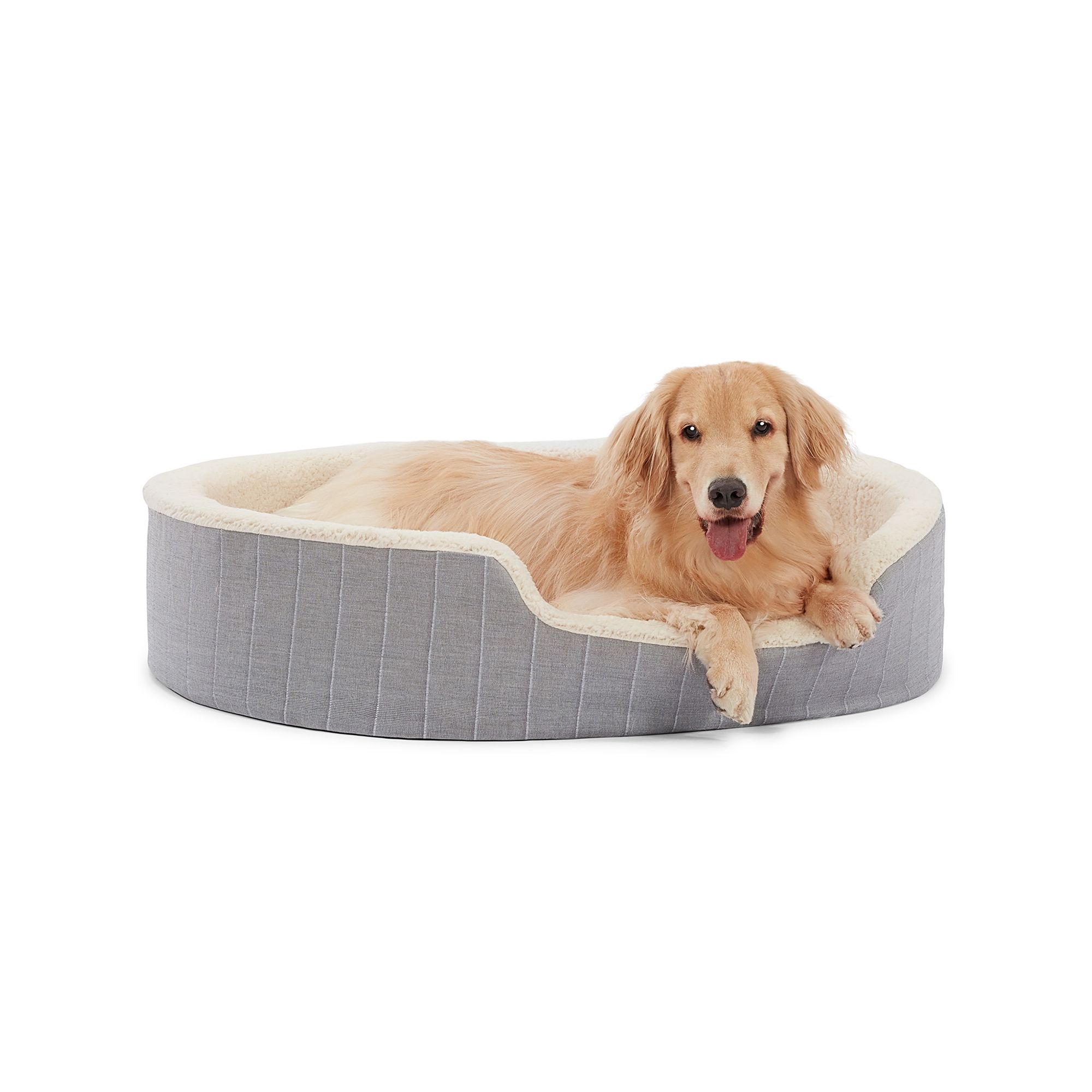 Petsmart xl 2025 dog bed