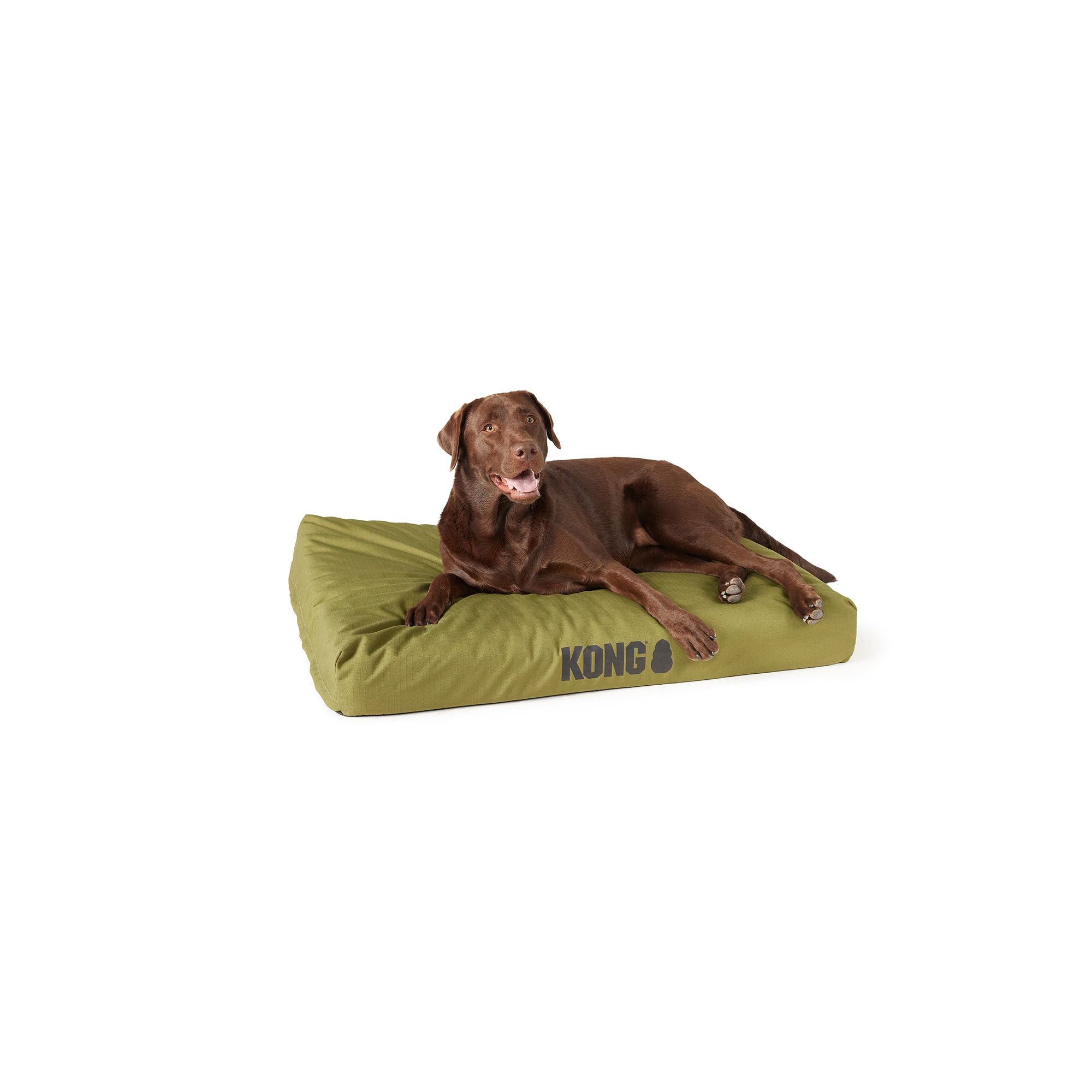 Kong Durable Crate Dog Mat in Olive, Size: 30L x 19W | Polyester PetSmart