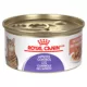 Product Royal Canin Feline Care Nutrition Appetite Control Care Adult Cat Food