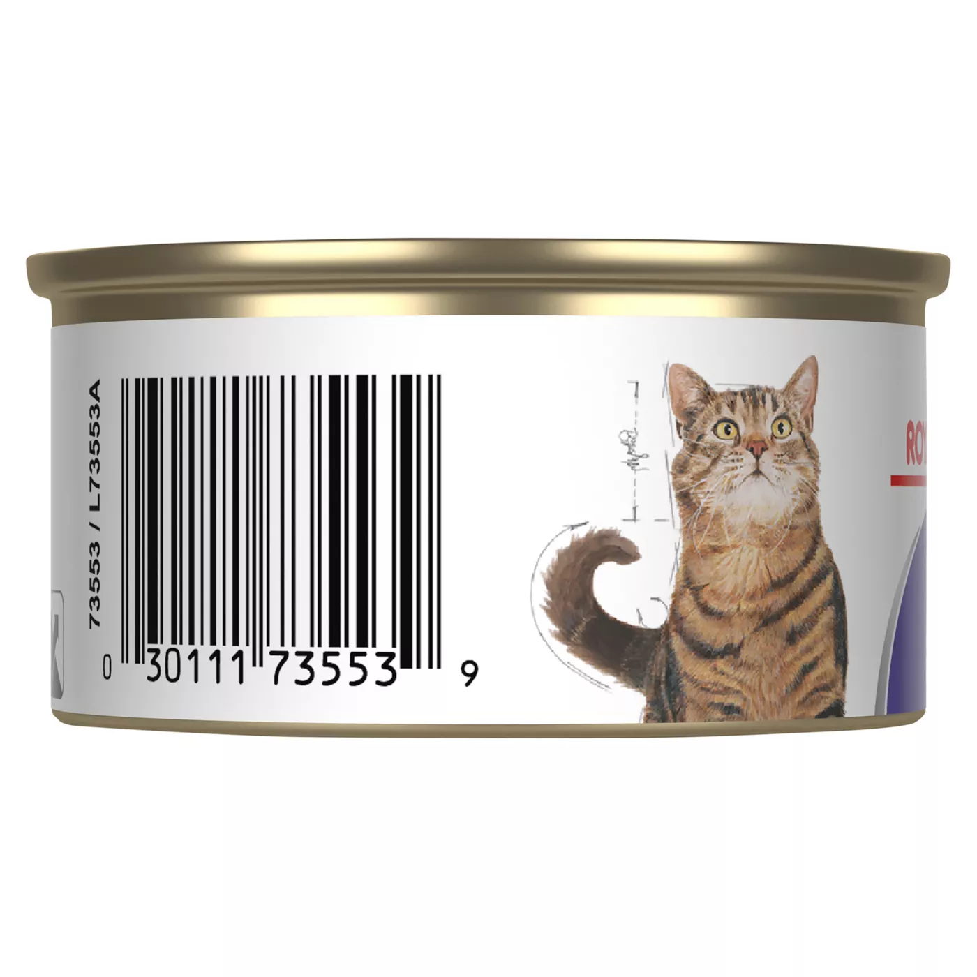 Appetite control cat food best sale