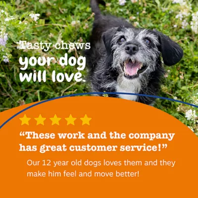 Product Zesty Paws Senior Advanced 11-in-1 Multivitamin Bites for Dogs - Chicken Flavored - 90 Count