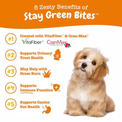 Product Zesty Paws Stay Green Digestive & Immune Bites for Dogs - Chicken Flavor - 90 Ct