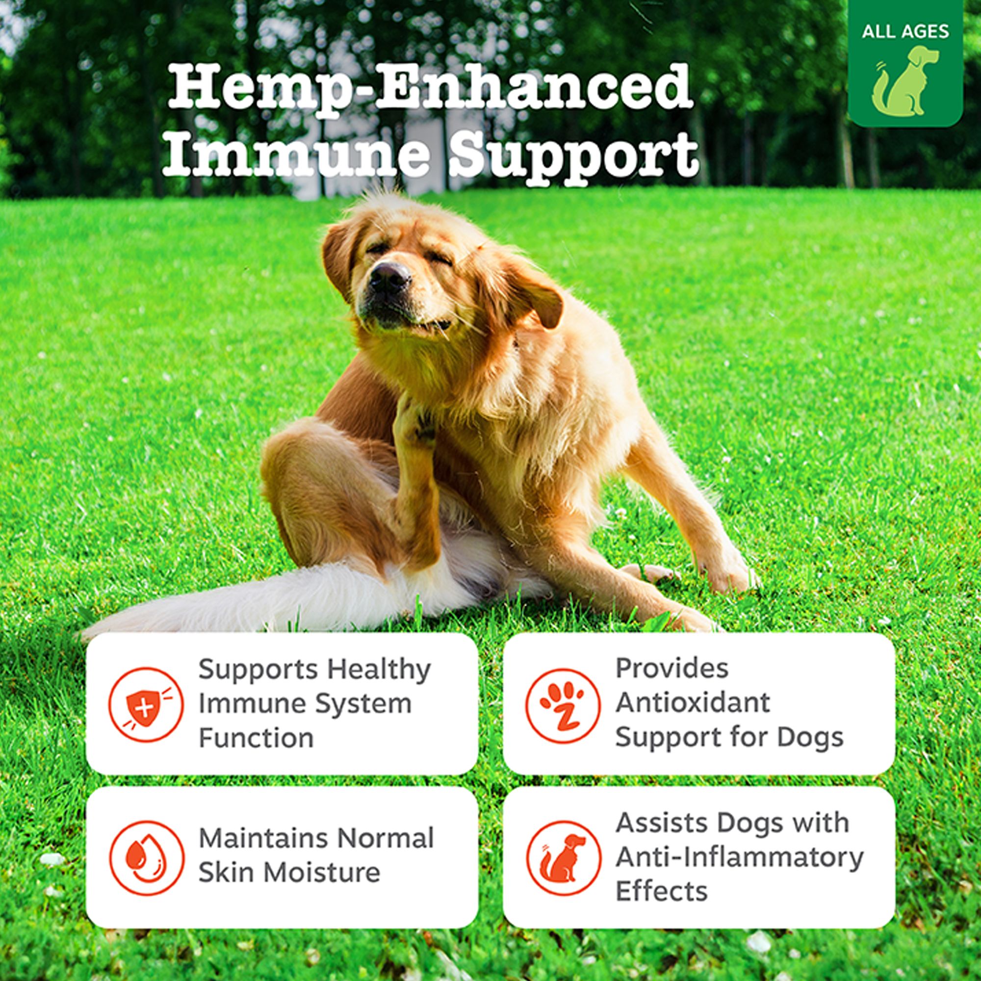 Zesty Paws Hemp Elements Aller Immune Bites Cheese Flavor Soft Chews For Dogs 90 Ct Dog Vitamins Supplements Petsmart