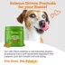 Zesty Paws Hemp Elements Allergy & Immune Bites for Dogs - Cheese Flavor - 90 Ct image thumbnail 6
