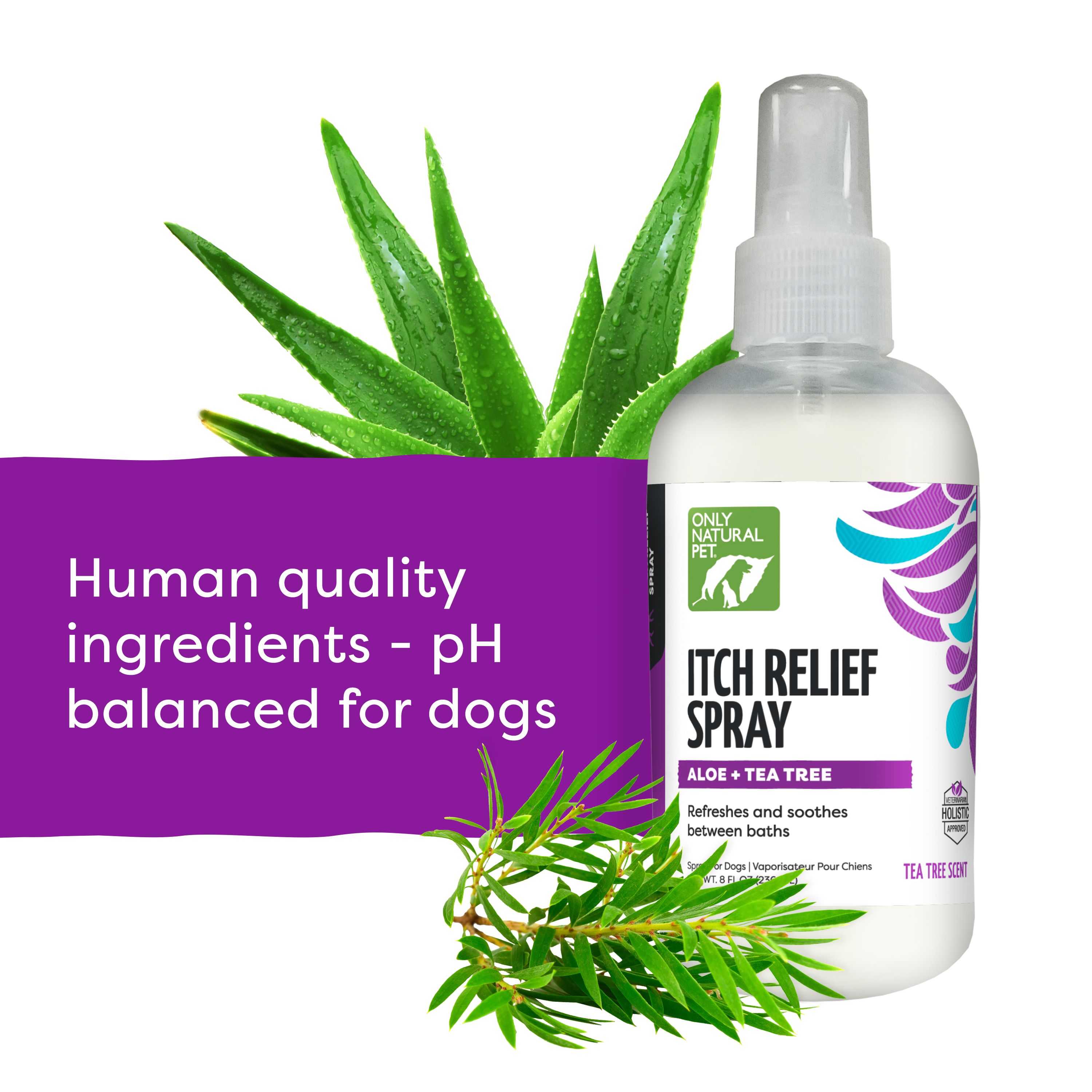 Natural dog itch relief hotsell