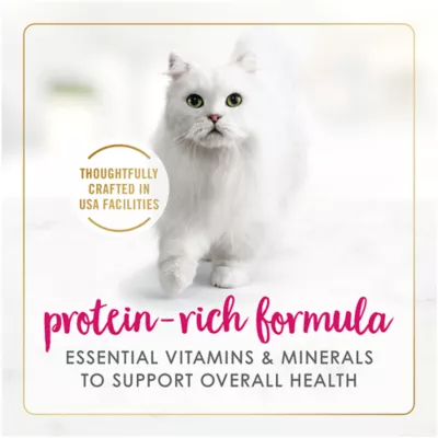 Product Fancy Feast®  All Life Stages Cat Wet Food - 24 CT, 72 OZ