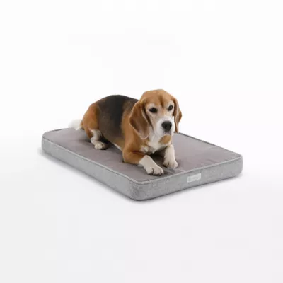 Product Diggs Snooz Orthopedic Memory Foam Dog Bed