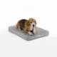 Product Diggs Snooz Orthopedic Memory Foam Dog Bed