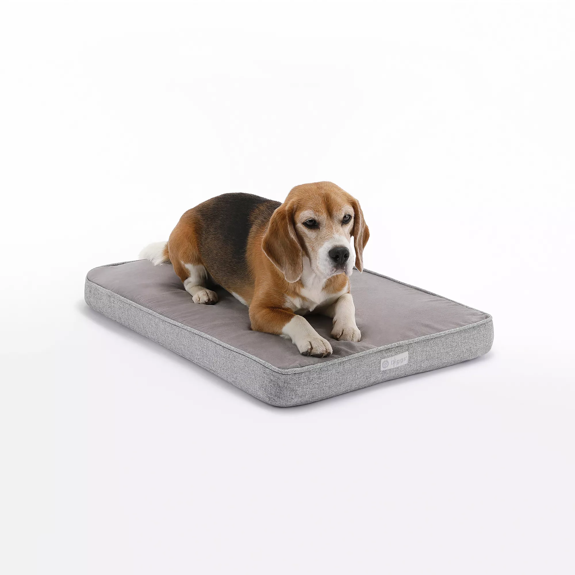 Diggs Snooz Orthopedic Memory Foam Dog Bed