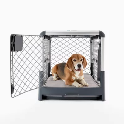 Product Diggs Snooz Orthopedic Memory Foam Dog Bed