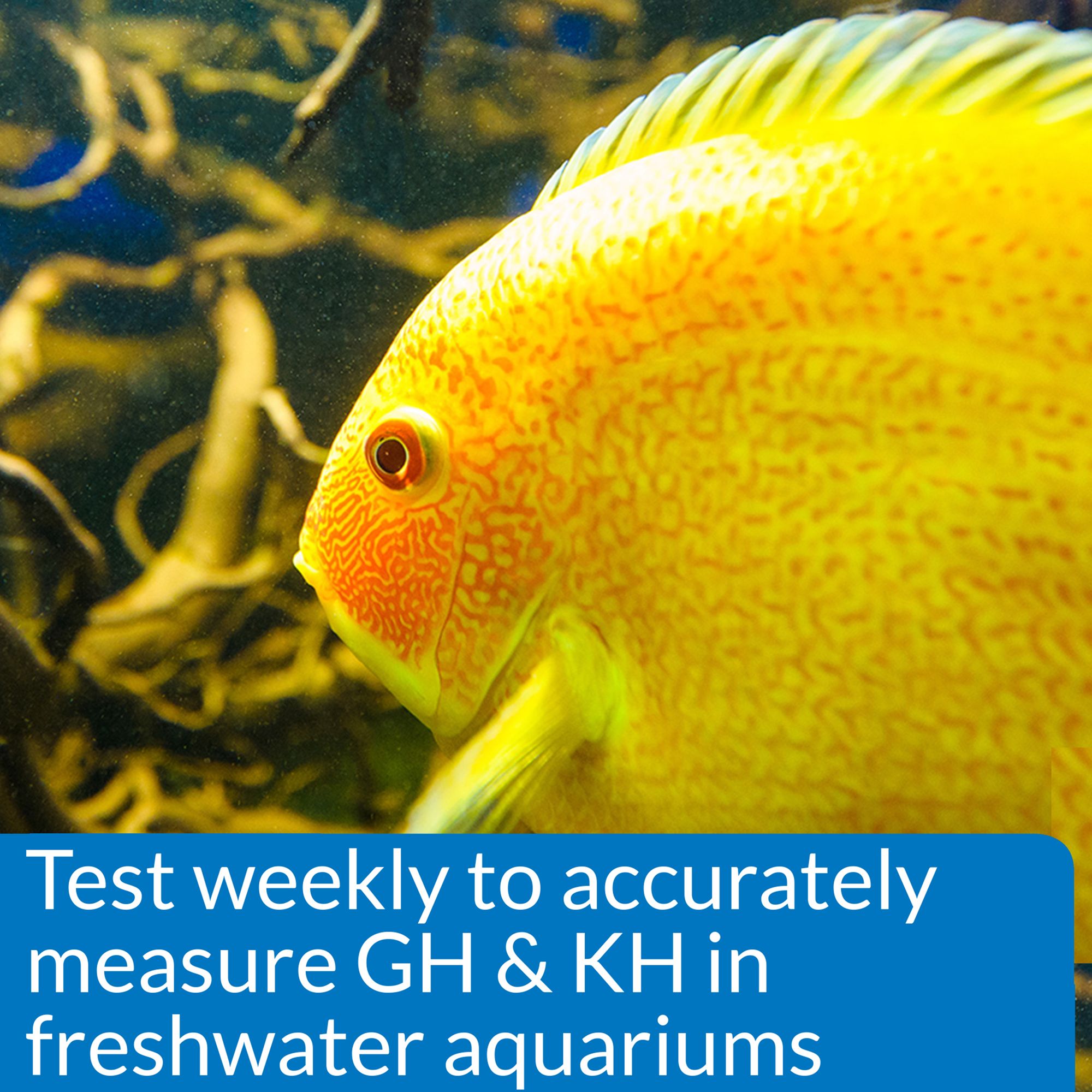 API® GH & KH Freshwater Aquarium Test Kit for Freshwater Aquarium Testing - thumbnail 5
