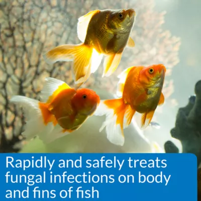 Product API® Pimafix Fish Fungal Infection Treatment