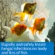 Product API® Pimafix Fish Fungal Infection Treatment