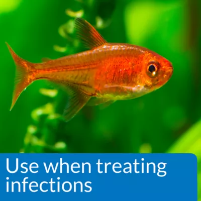 Product API® Pimafix Fish Fungal Infection Treatment