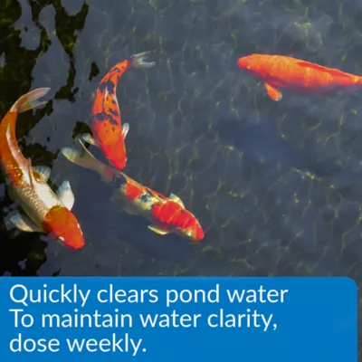 Product API® Accu-Clear Clarifier Pond Water Conditioner