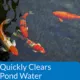 Product API® Accu-Clear Clarifier Pond Water Conditioner