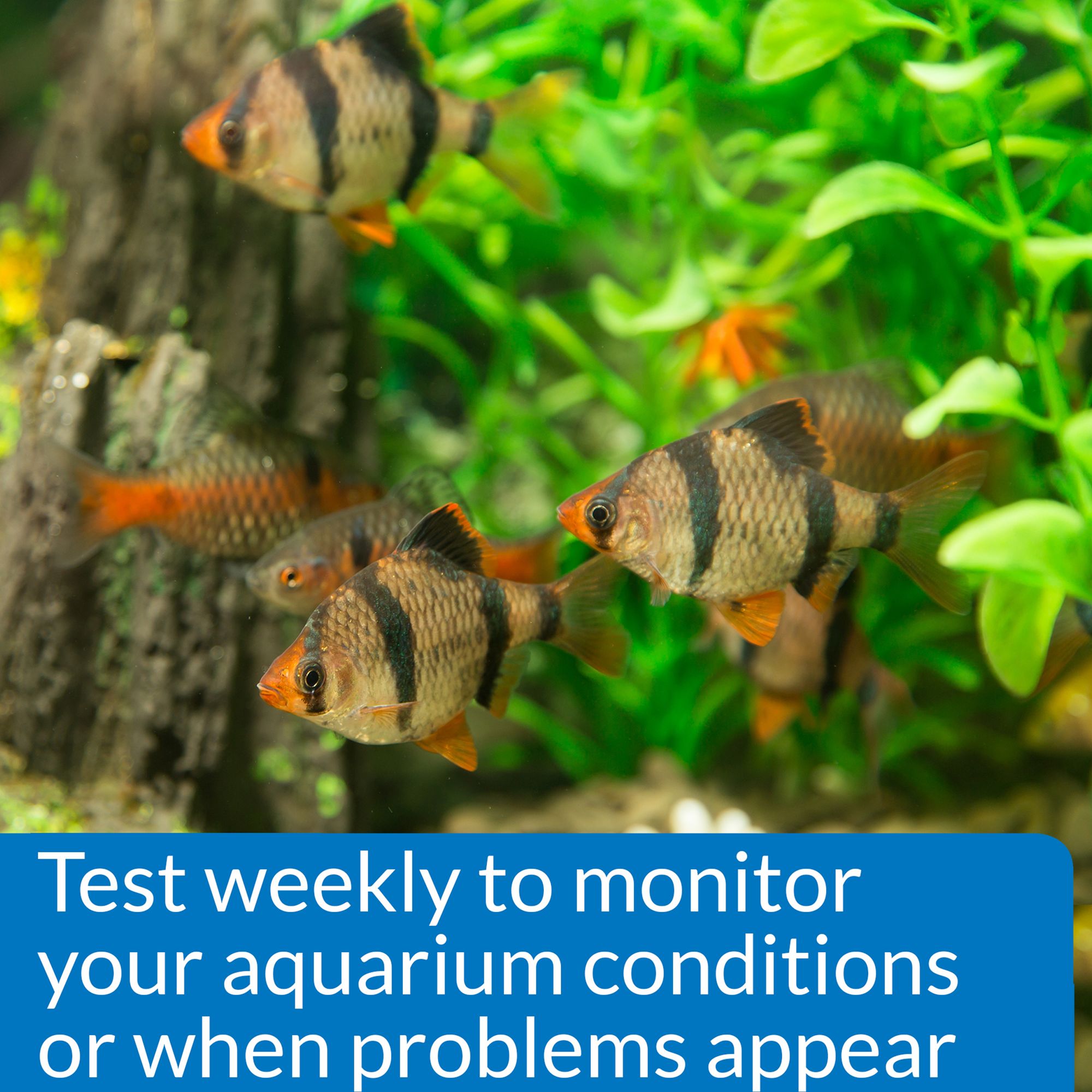 API® Phosphate Test Kit for Aquarium Water Testing - thumbnail 5