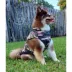 Hip Doggie Camo Flex-Fit Reversible Water Repellant Dog Coat image thumbnail 3