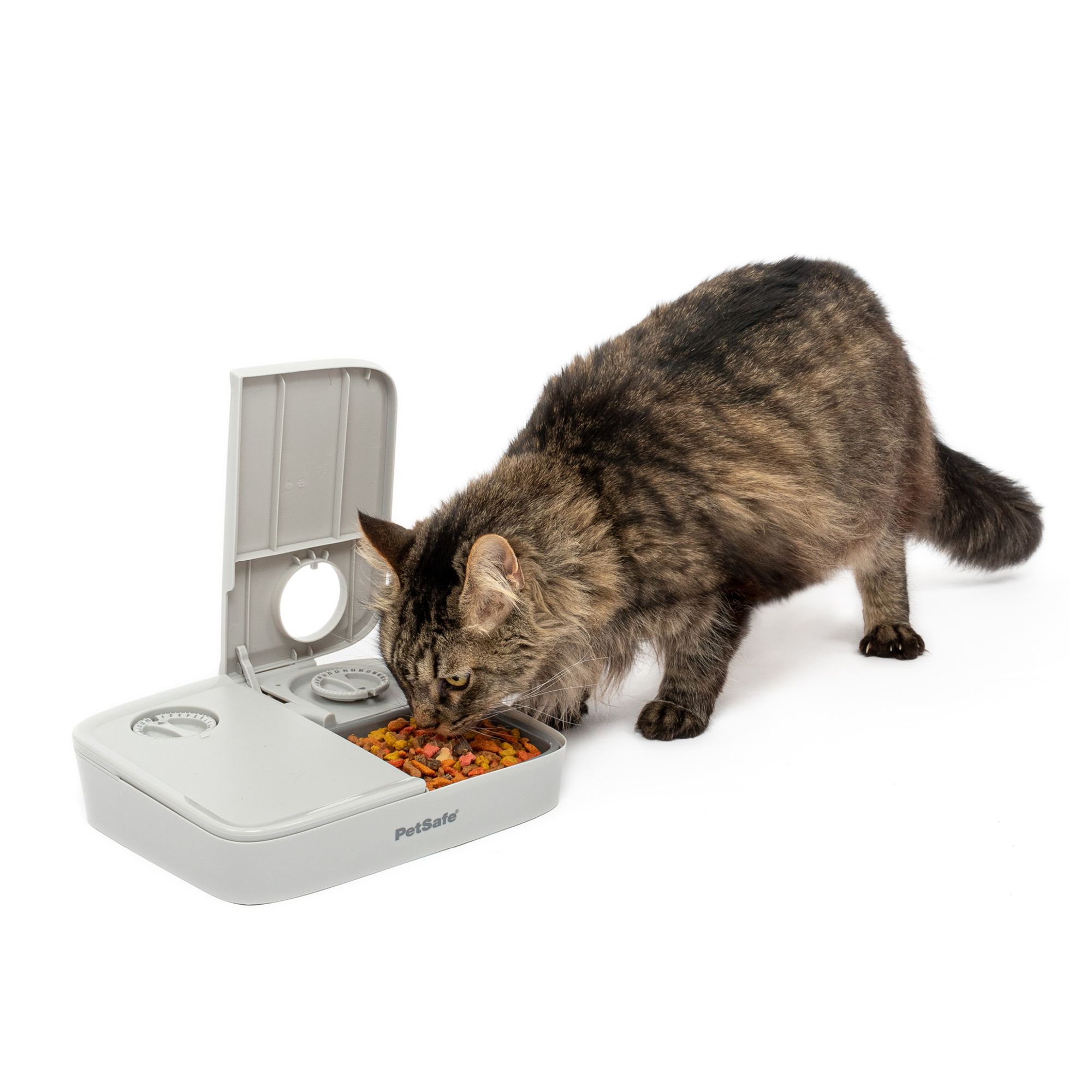 Cat food 2025 dispenser petsmart