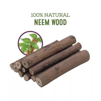 Product Living World® Green Neem Sticks Small Pet Chews