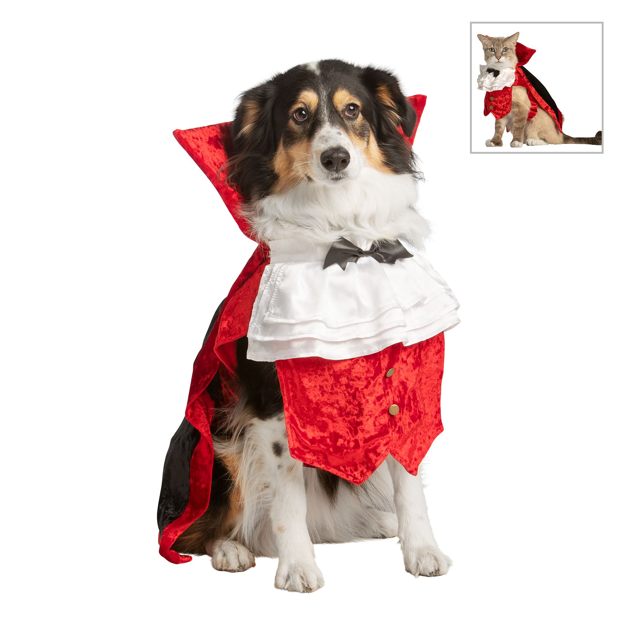 Dog Pet Halloween Vampire Outfit Costume New