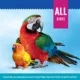 Product All Living Things® Paper Bedding Pellets