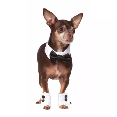 Rubie's Pet Shop Celebrations Tuxedo Dog & Cat Costume - Image 1