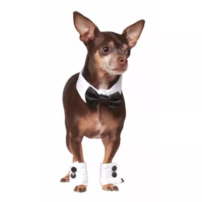Rubie's Pet Shop Celebrations Tuxedo Dog & Cat Costume - Image 1