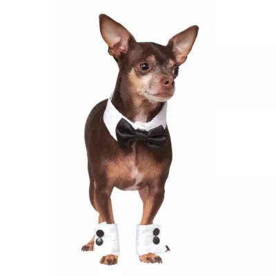 Product Rubie's Pet Shop Celebrations Tuxedo Dog & Cat Costume