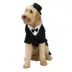 Rubie's Pet Shop Celebrations Dapper Suit & Hat Dog & Cat Costume image thumbnail 1