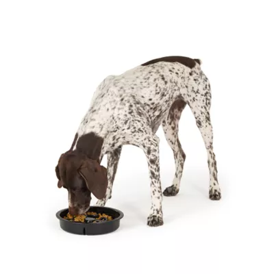 Top Paw® Silicone Slow Feeder Dog Bowl, 6.75-cup - Image 6