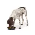Top Paw® Silicone Slow Feeder Dog Bowl, 6.75-cup image thumbnail 6