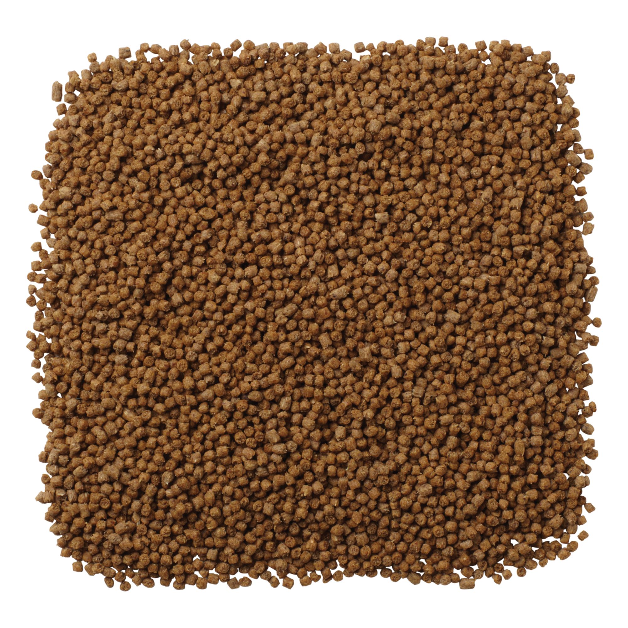 Mazuri Bearded Dragon Diet - Bearded Dragon Reptile Food - 8 oz - thumbnail 3