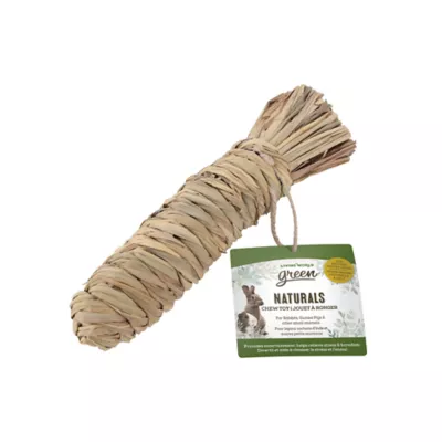 Product Living World Green Naturals Small Animal Carrot Chew Toy