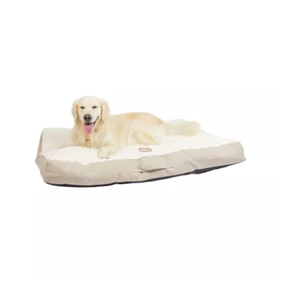 Product Armarkat  Beige & Ivory Snowy Velvet Pillow Dog Bed