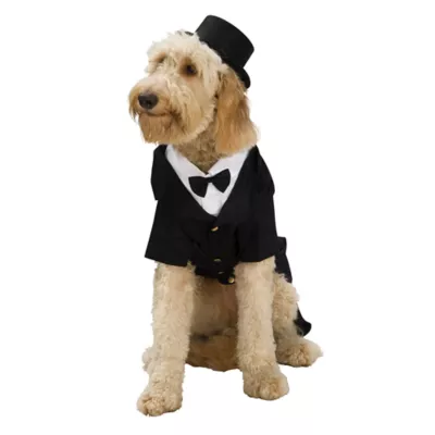 Rubie's Pet Shop Celebrations Dapper Suit & Hat Dog & Cat Costume - Image 1