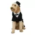 Rubie's Pet Shop Celebrations Dapper Suit & Hat Dog & Cat Costume image thumbnail 1