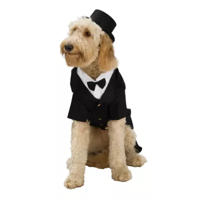 Product Rubie's Pet Shop Celebrations Dapper Suit & Hat Dog & Cat Costume