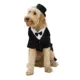 Product Rubie's Pet Shop Celebrations Dapper Suit & Hat Dog & Cat Costume