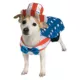 Product Rubie's Pet Shop Americana Uncle Sam Dog & Cat Costume