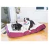  Amarkat Ivory & Burgandy Large Dog Pillow Dog Bed image thumbnail 4