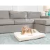 Armarkat  Beige & Ivory Snowy Velvet Pillow Dog Bed image thumbnail 3