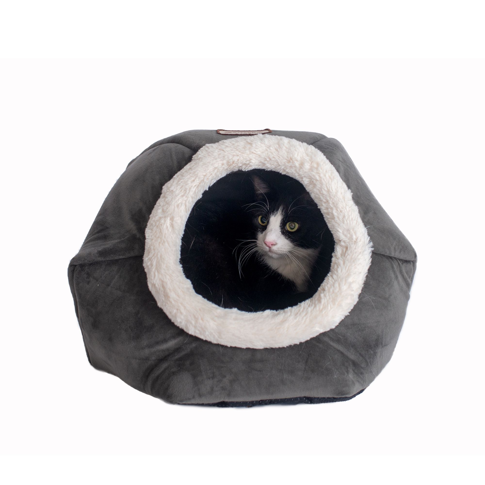 Enclosed deals cat bed