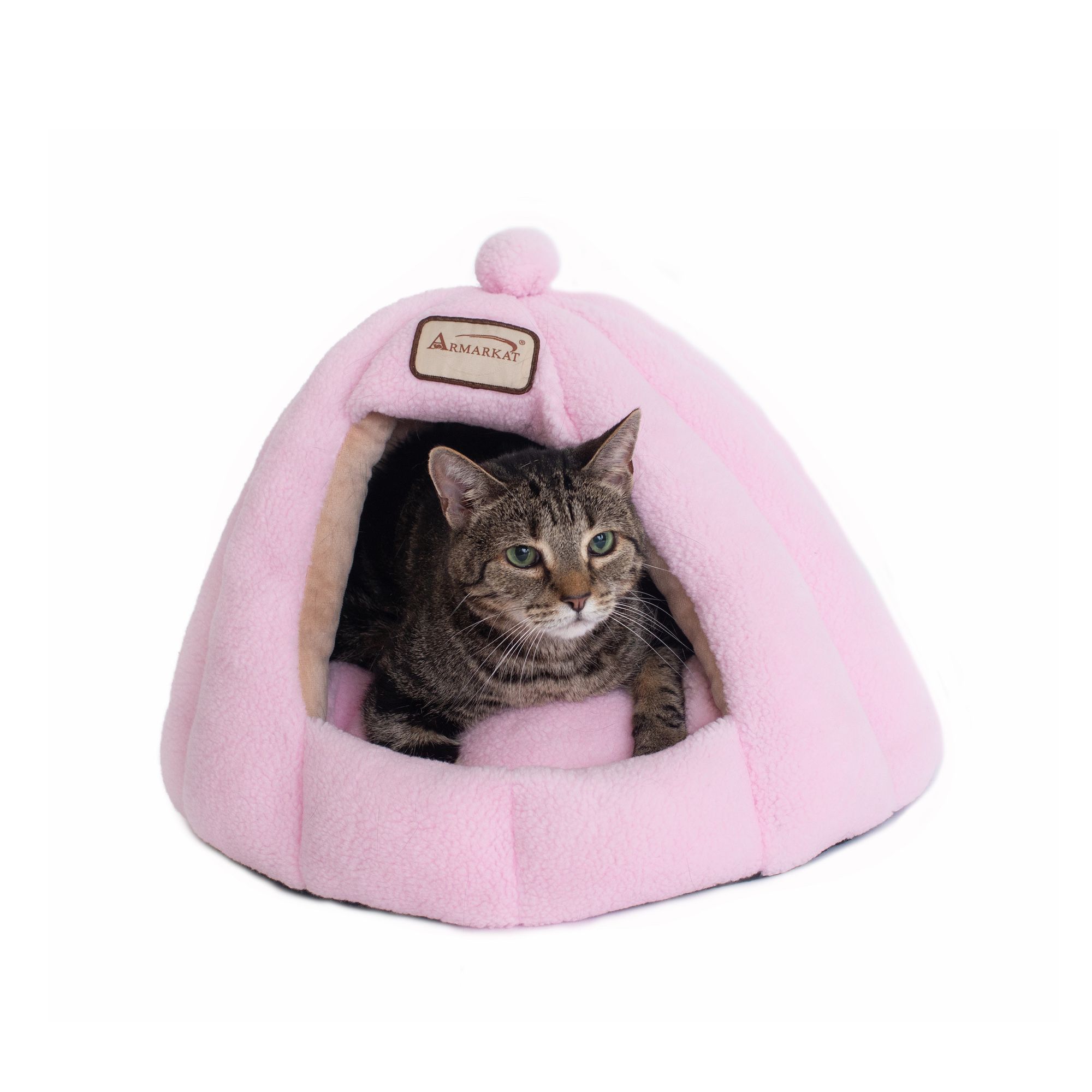 Petsmart halloween cat bed best sale