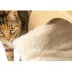 Armarkat Hideaway Wood Cat Scratcher & Condo image thumbnail 6