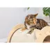 Armarkat Hideaway Wood Cat Scratcher & Condo image thumbnail 7