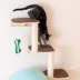 Armarkat Wall-Mounted Real Wood 3 Steps Cat Shelves & Perches Kitty Furniture, Natural image thumbnail 3