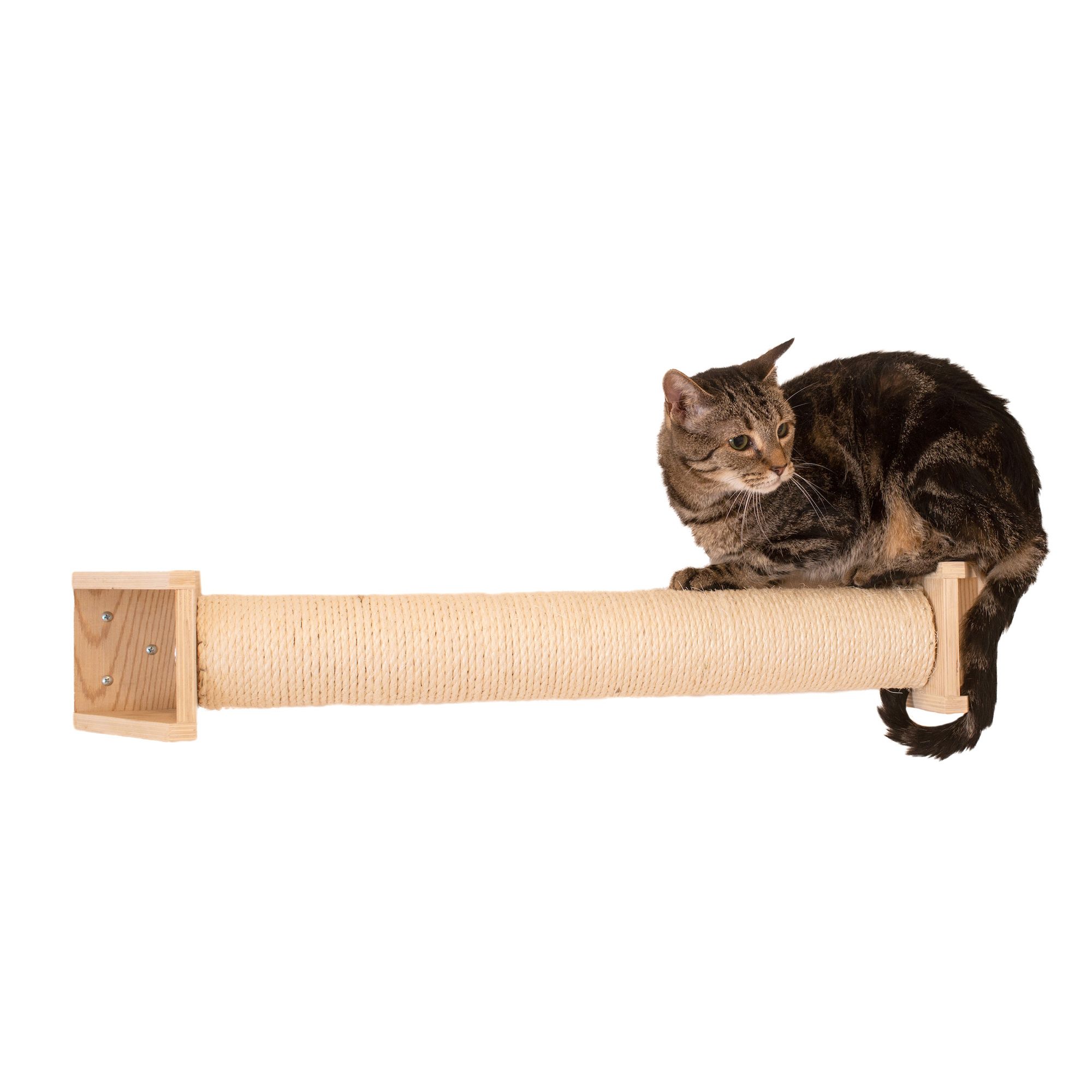 Cat scratchers shop at petsmart