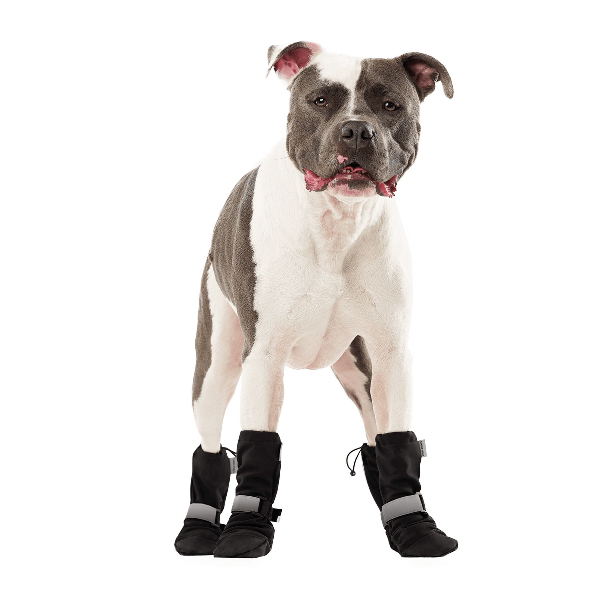 Canada Pooch Soft Shield Dog Boot - Black, dog Boots, Shoes & Socks